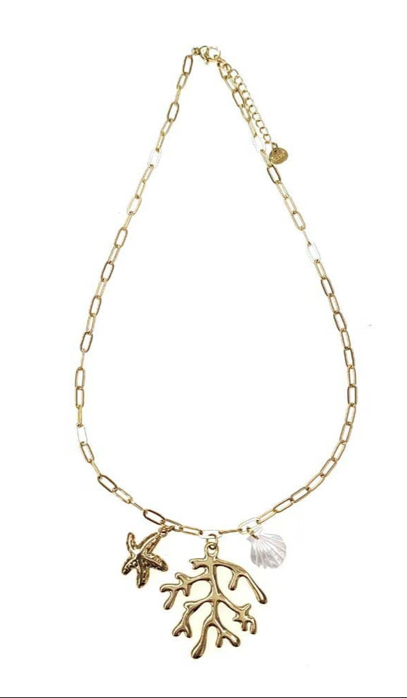 Collar cadena dorado coral estrella acero inoxidable Jizi