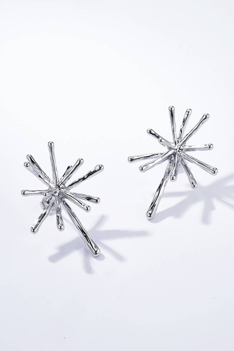 Pendientes de acero inoxidable 124AQ294