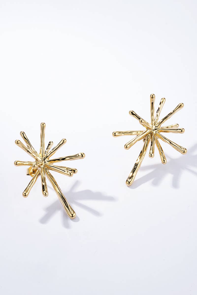 Pendientes de acero inoxidable 124AQ294